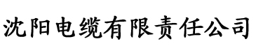 欧美网站电缆厂logo